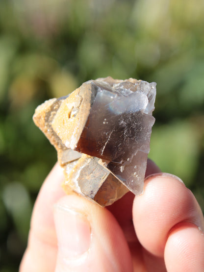 Clear cubic Fluorite cluster from Pakistan 40mm 31.2g Rocks and Things