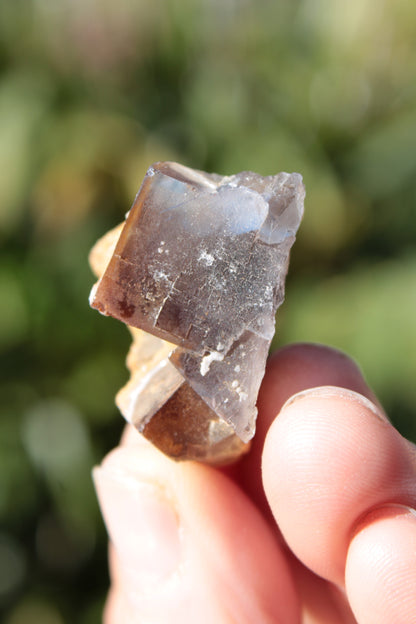 Clear cubic Fluorite cluster from Pakistan 40mm 31.2g Rocks and Things