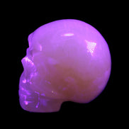 Honey Calcite skull 40*58*56mm approx., 189g in UV light - Rocks and Things Store