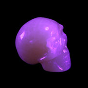 Honey Calcite skull 40*58*56mm approx., 189g in UV light - Rocks and Things Store
