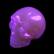 Honey Calcite skull 40*58*56mm approx., 189g in UV light - Rocks and Things Store