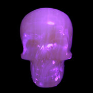 Honey Calcite skull 40*58*56mm approx., 189g in UV light - Rocks and Things Store