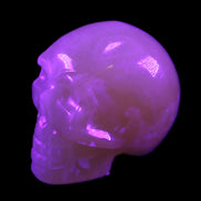 Honey Calcite skull 40*58*56mm approx., 189g in UV light - Rocks and Things Store