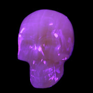 Honey Calcite skull 40*58*56mm approx., 189g in UV light - Rocks and Things Store