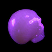 Honey Calcite skull 40*58*56mm approx., 189g in UV light - Rocks and Things Store
