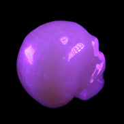 Honey Calcite skull 40*58*56mm approx., 189g in UV light - Rocks and Things Store