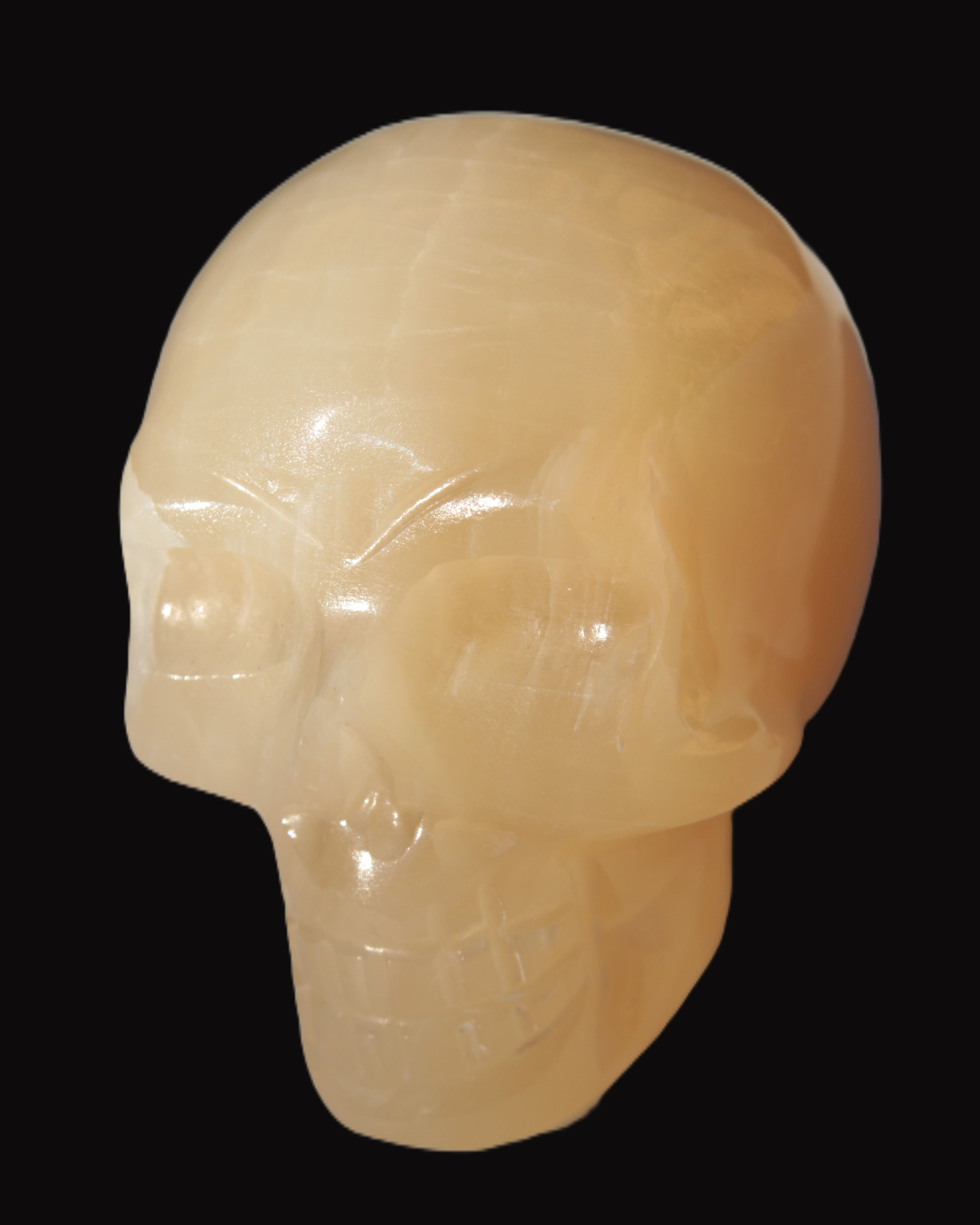 Honey Calcite skull 40*58*56mm 182-194g in sunlight - Rocks and Things Store