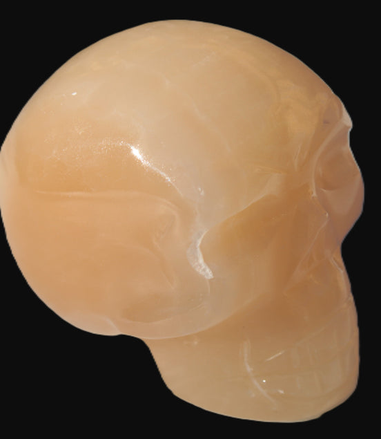 Honey Calcite skull 40*58*56mm 182-194g in sunlight - Rocks and Things Store