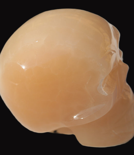Honey Calcite skull 40*58*56mm 182-194g in sunlight - Rocks and Things Store