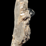 Black & Green Tourmaline on elestial Smoky Quartz crystal with Calcite from Afghanistan 67.3ct 13.4g - Rocks and Things Store