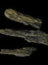 Long blade Epidote 3 crystals 69.7ct  13.9g in sunshine - Rocks and Things Store