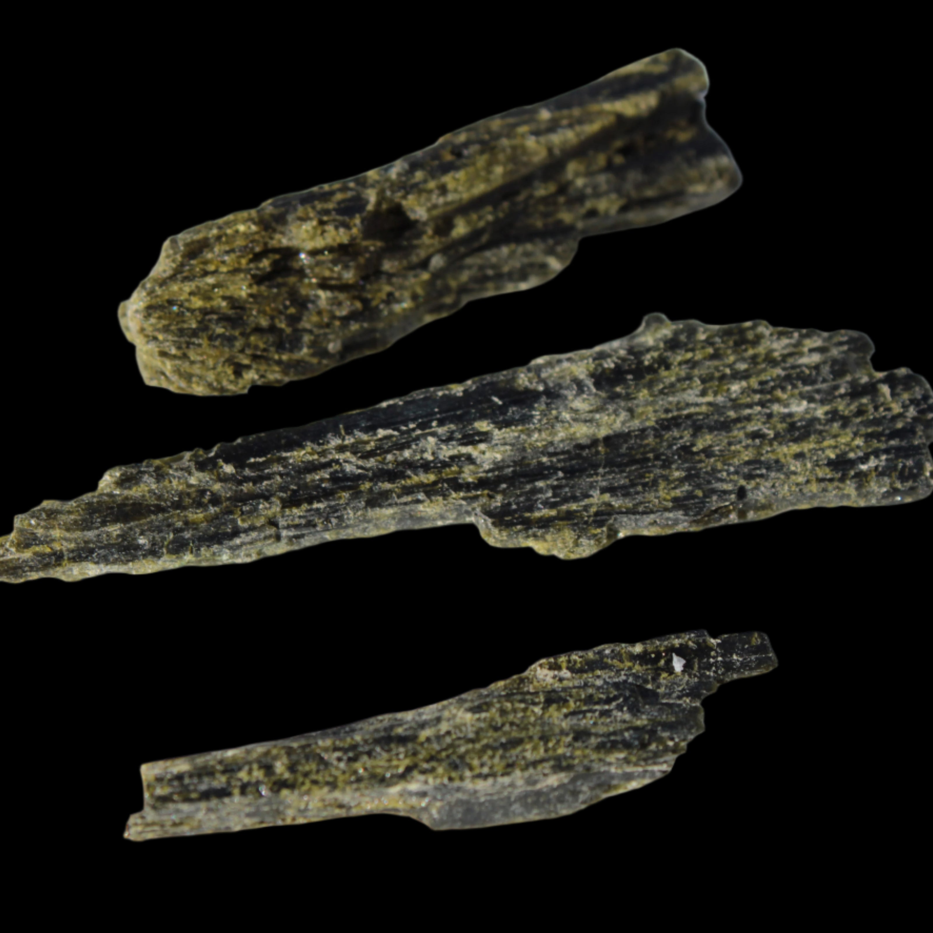 Long blade Epidote 3 crystals 69.7ct  13.9g in sunshine - Rocks and Things Store