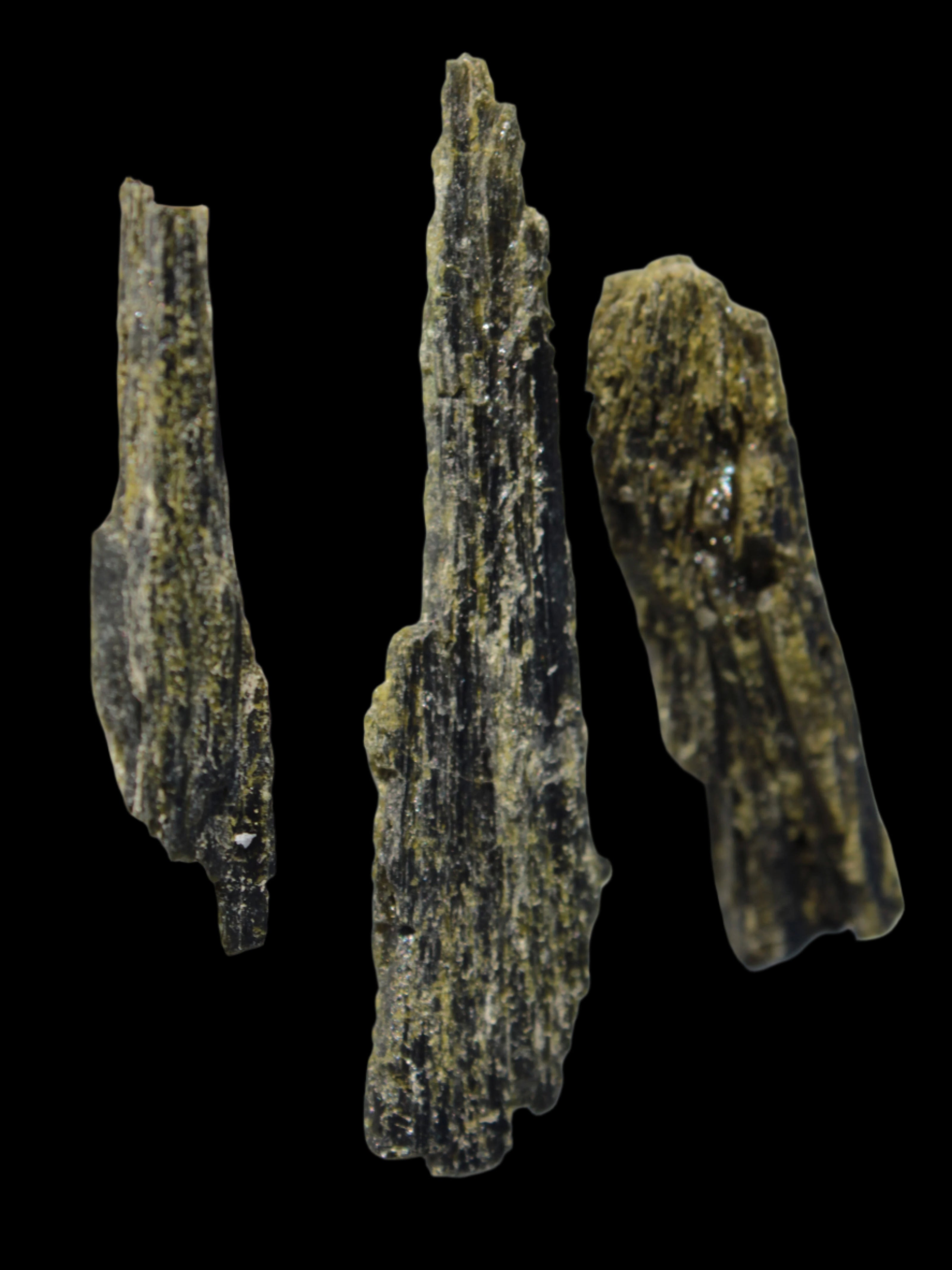 Long blade Epidote 3 crystals 69.7ct  13.9g in sunshine - Rocks and Things Store