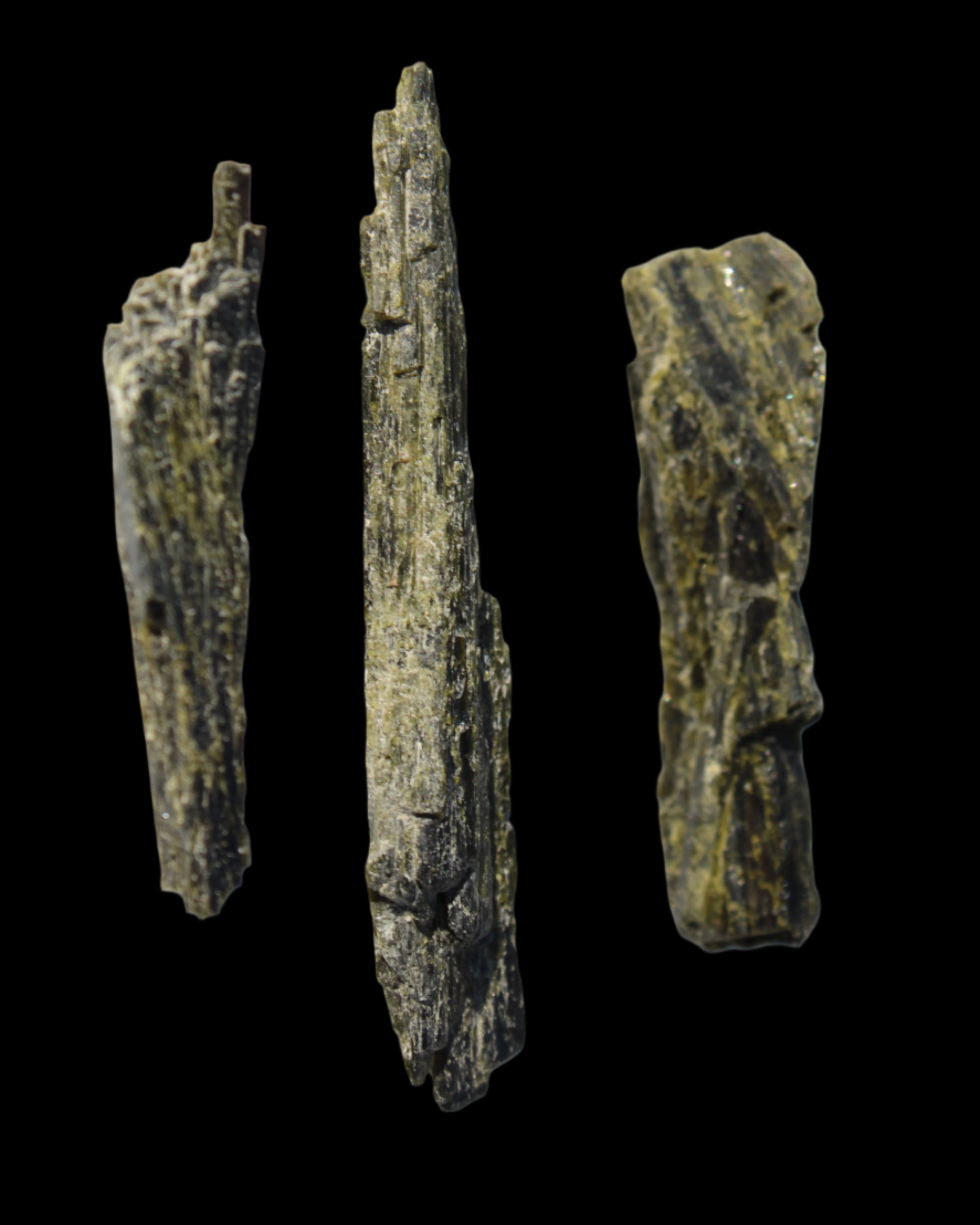 Long blade Epidote 3 crystals 69.7ct  13.9g in sunshine - Rocks and Things Store
