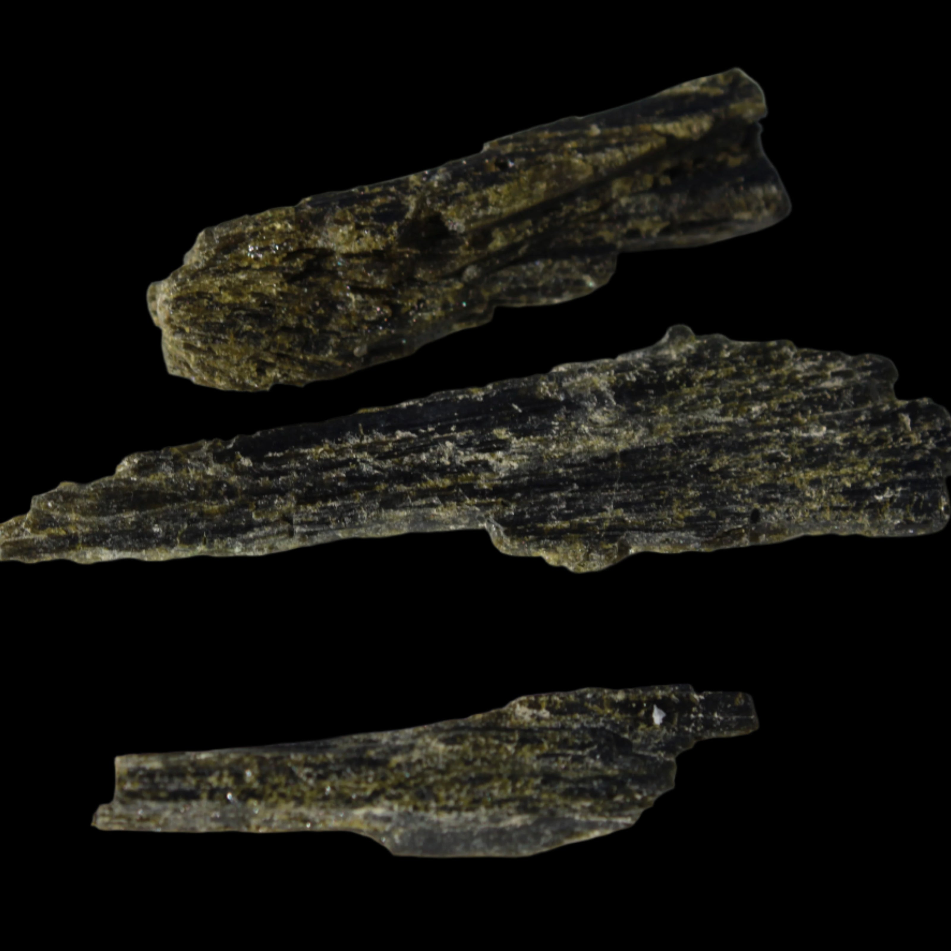 Long blade Epidote 3 crystals 69.7ct  13.9g in sunshine - Rocks and Things Store