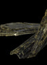 Epidote 3 crystals 30-38mm 33.9ct 6.8g in sunlight - Rocks and Things Store