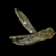 Epidote 3 crystals 30-38mm 33.9ct  6.8g in sunlight - Rocks and Things Store