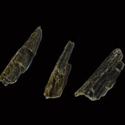 Epidote 3 crystals 30-38mm 33.9ct  6.8g in sunlight - Rocks and Things Store