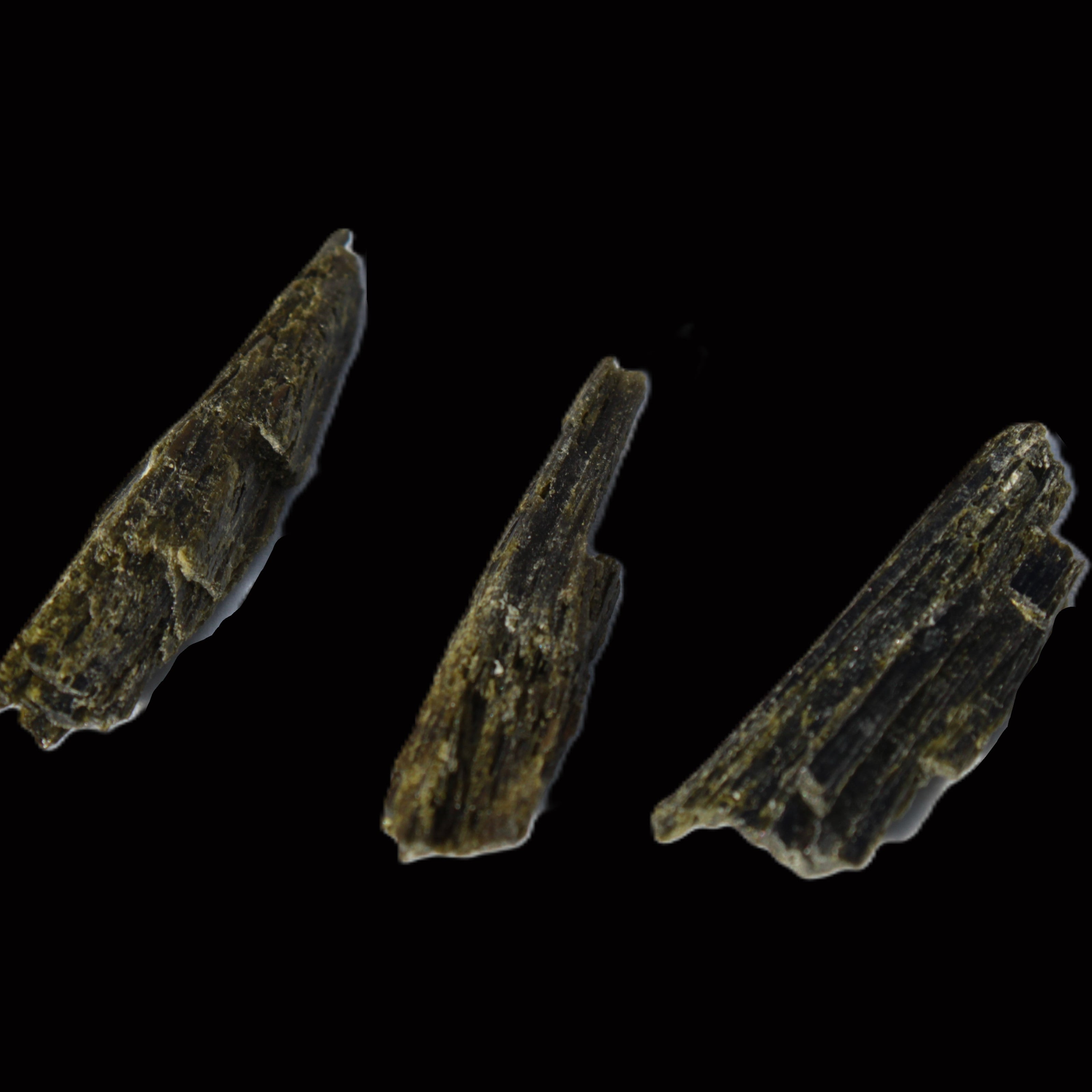 Epidote 3 crystals 30-38mm 33.9ct  6.8g in sunlight - Rocks and Things Store