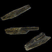 Epidote 3 crystals 30-38mm 33.9ct  6.8g in sunlight - Rocks and Things Store