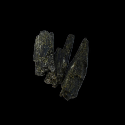 Epidote 3 crystals 30-38mm 33.9ct  6.8g in sunlight - Rocks and Things Store