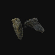 Epidote 2 clusters 42.4ct 8.5g in sunlight - Rocks and Things Store