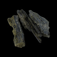 Epidote 3 crystals 38mm 47.1ct 9.4g in sunlight - Rocks and Things Store