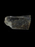 Epidote crystal 52.4ct 10.5g in sunlight - Rocks and Things Store