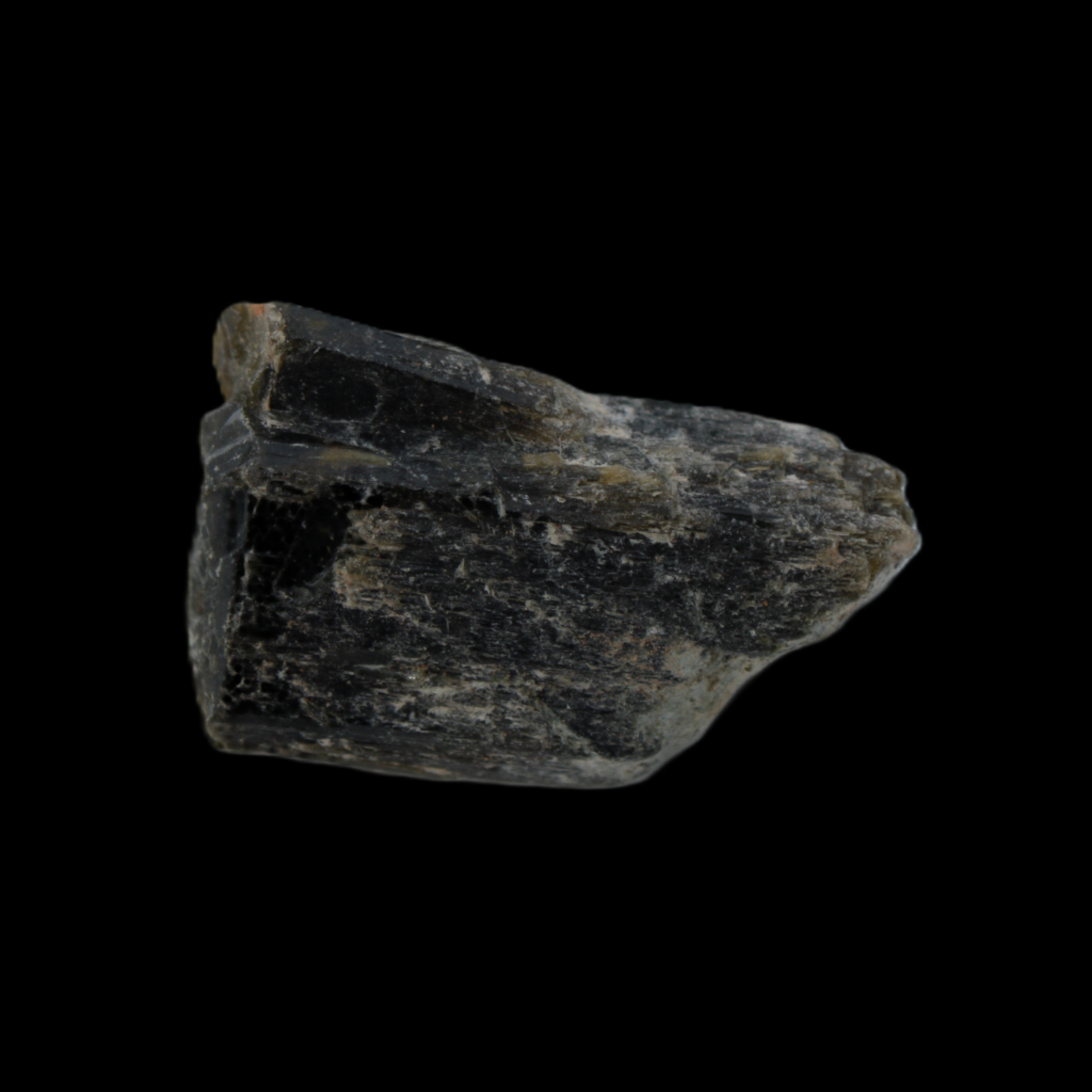 Epidote crystal 52.4ct 10.5g in sunlight - Rocks and Things Store