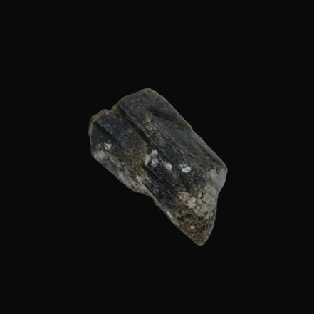 Epidote crystal 52.4ct 10.5g in sunlight - Rocks and Things Store