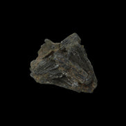 Epidote crystal 46.6ct 9.3g in sunlight - Rocks and Things Store