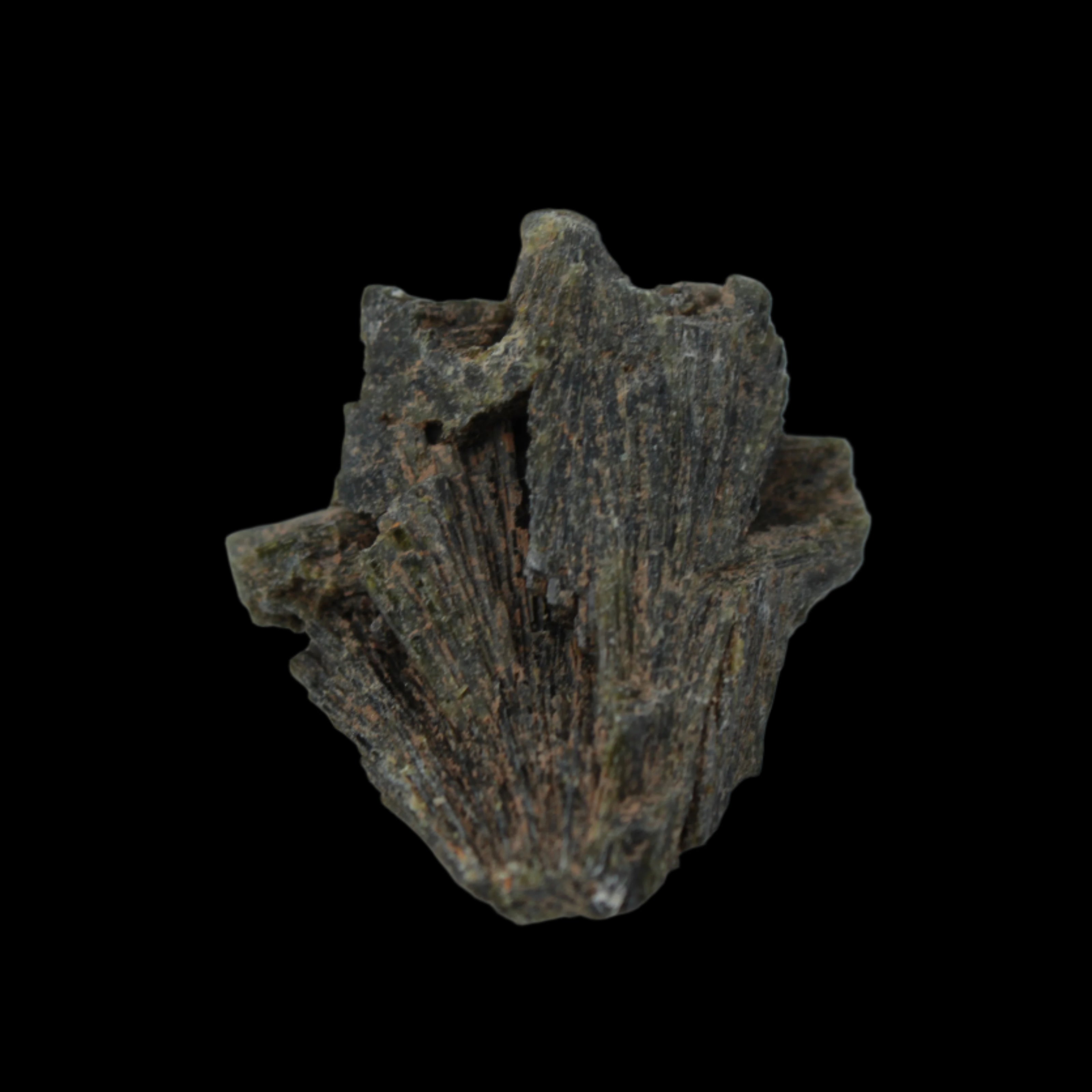 Epidote crystal 46.6ct 9.3g in sunlight - Rocks and Things Store