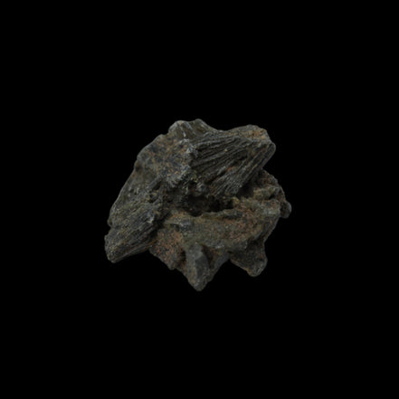 Epidote crystal 46.6ct 9.3g in sunlight - Rocks and Things Store