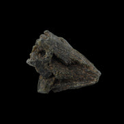 Epidote crystal 46.6ct 9.3g in sunlight - Rocks and Things Store