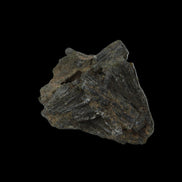 Epidote crystal 46.6ct 9.3g in sunlight - Rocks and Things Store