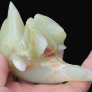 Leaping Dolphin hand-carved Afghan Jade 206.3g Rocks and Things