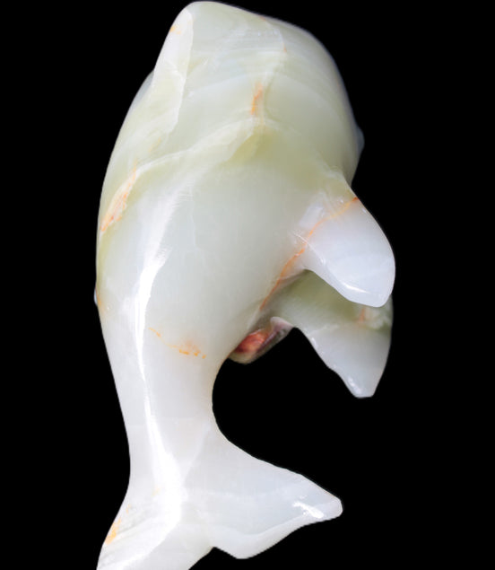 Leaping Dolphin hand-carved Afghan Jade 206.3g Rocks and Things