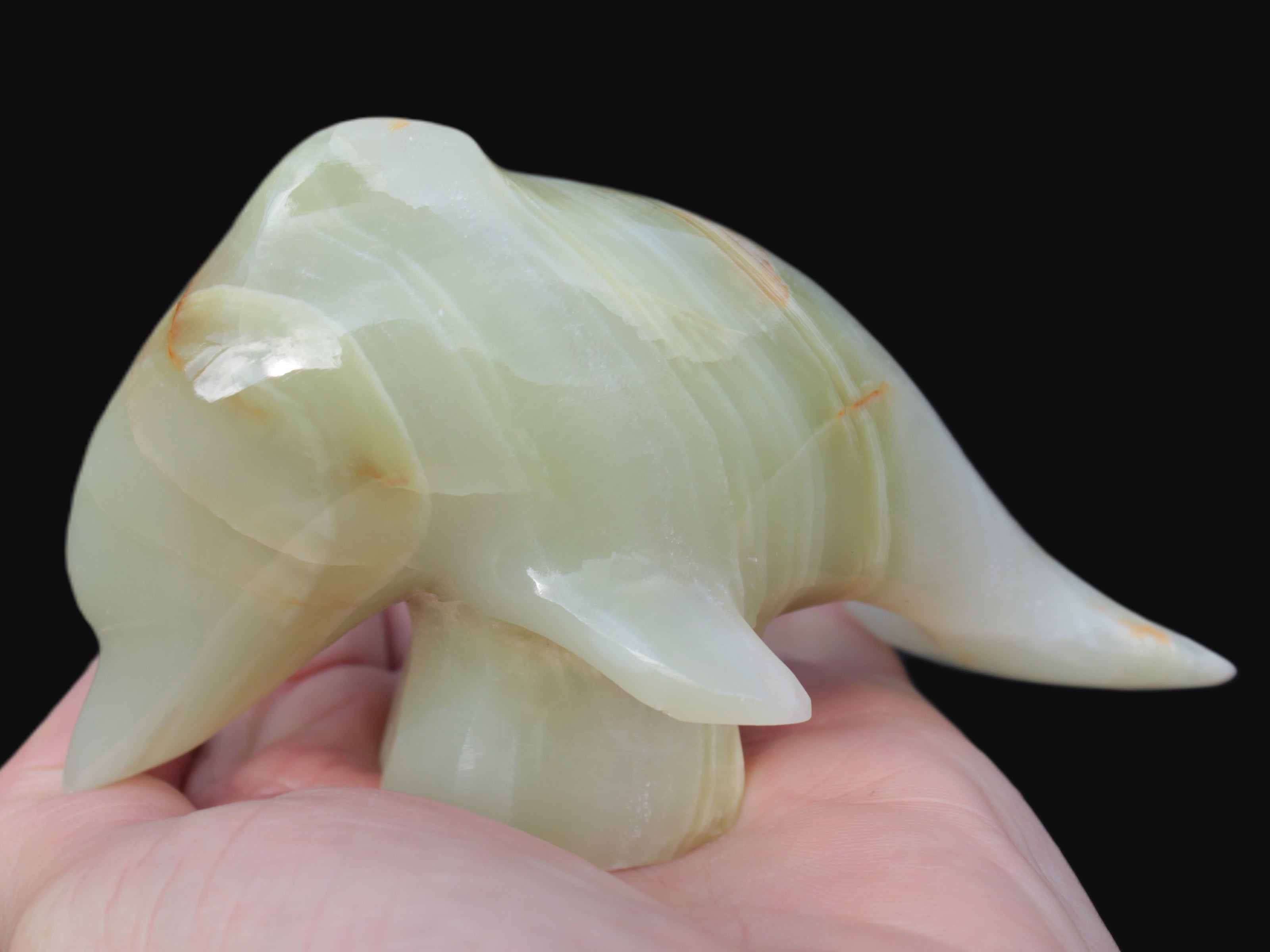 Leaping Dolphin hand-carved Afghan Jade 206.3g Rocks and Things