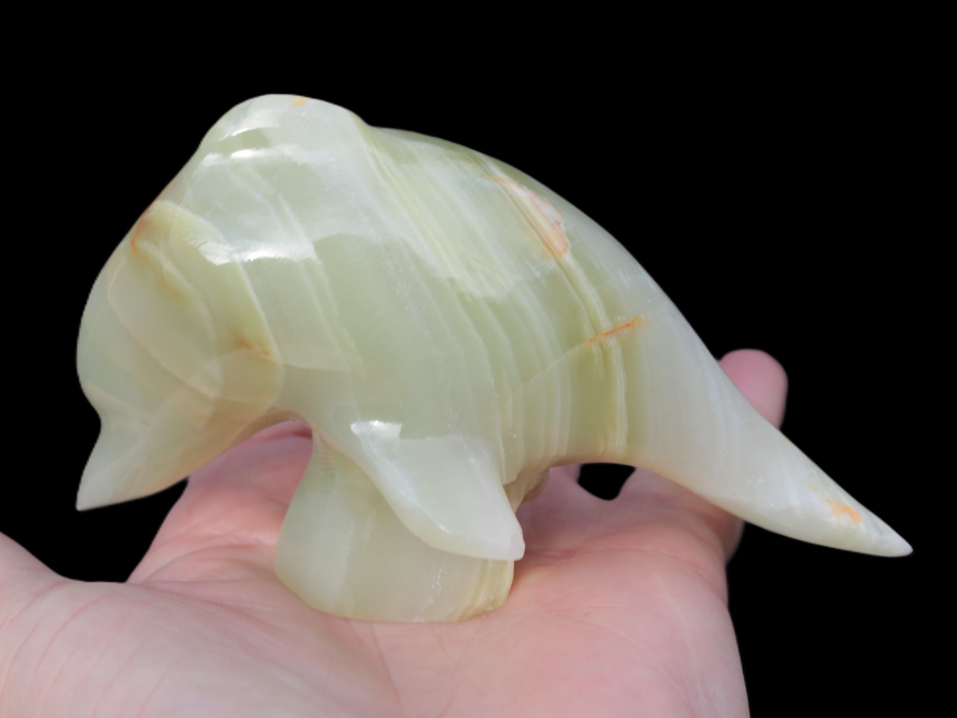 Leaping Dolphin hand-carved Afghan Jade 206.3g Rocks and Things