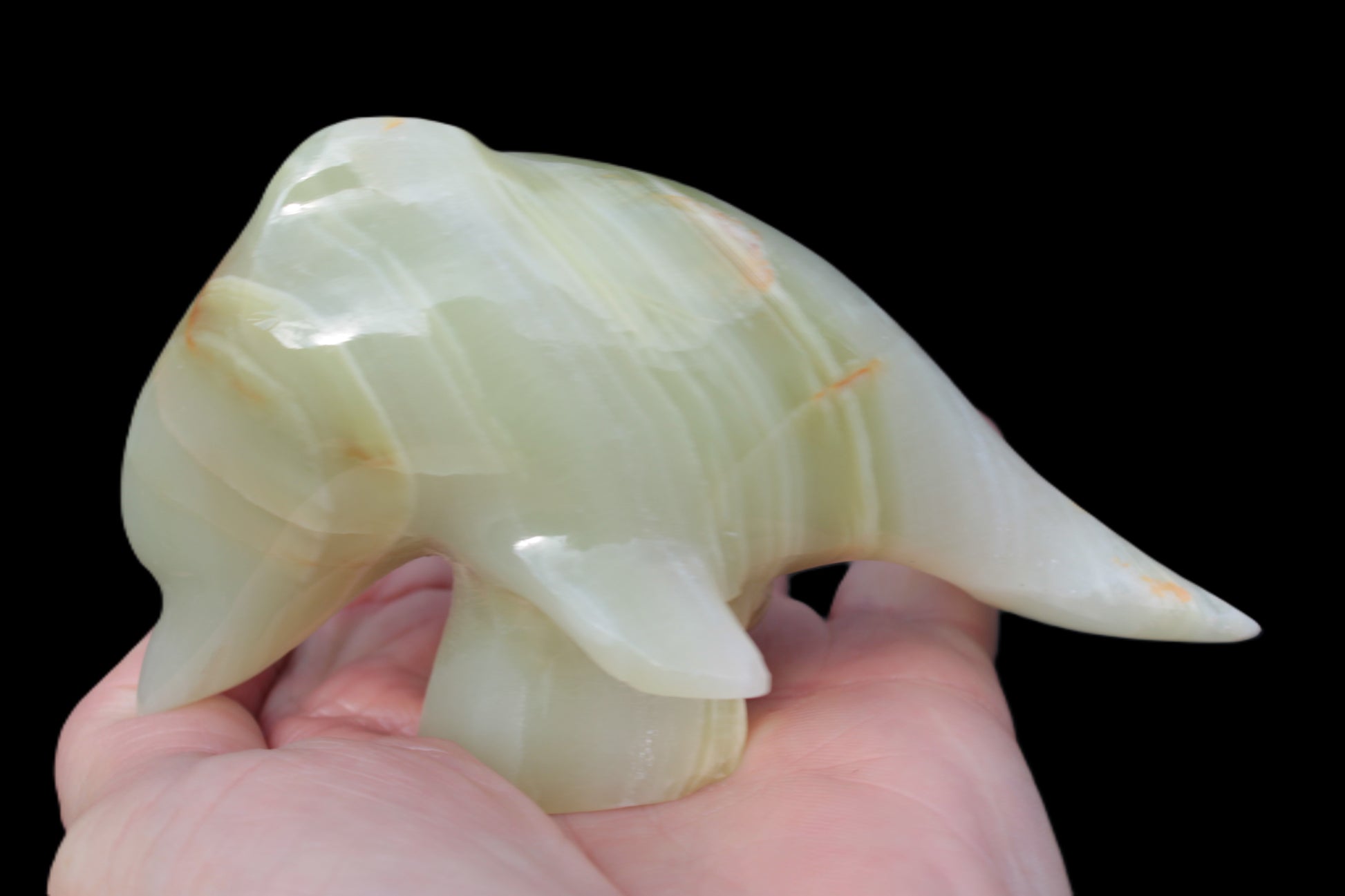 Leaping Dolphin hand-carved Afghan Jade 206.3g Rocks and Things