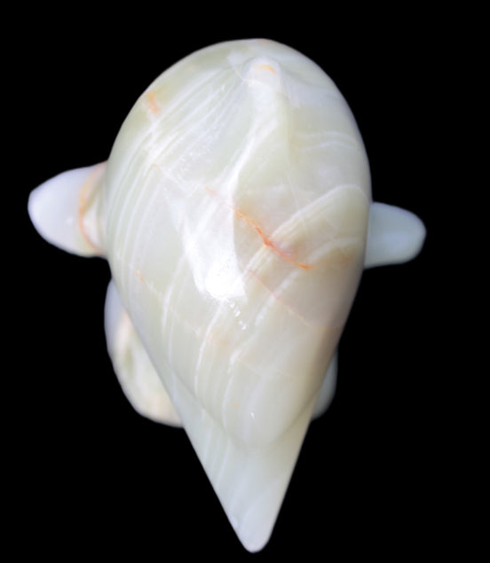 Leaping Dolphin hand-carved Afghan Jade 206.3g Rocks and Things