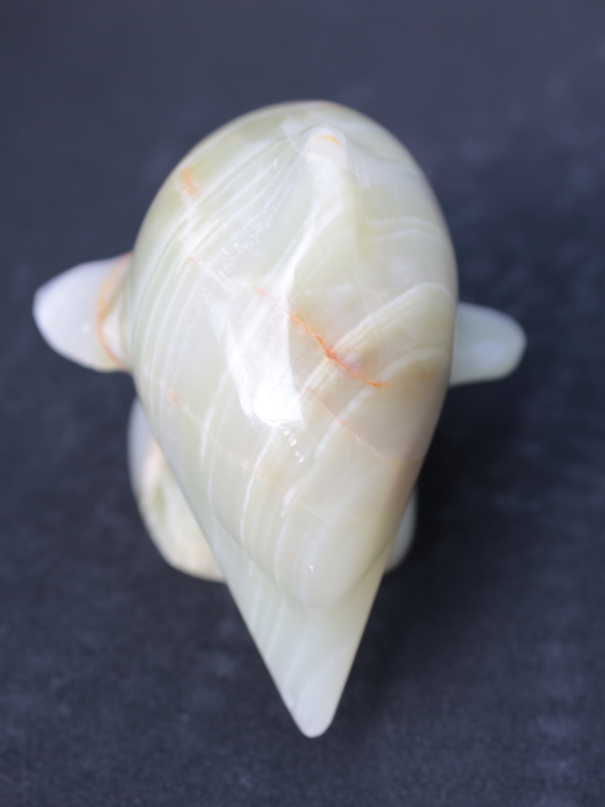 Leaping Dolphin hand-carved Afghan Jade 206.3g Rocks and Things