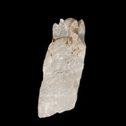 Clear Kunzite crystal from Afghanistan 38.2ct 7.6g - Rocks and Things Store