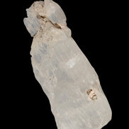 Clear Kunzite crystal from Afghanistan 38.2ct 7.6g - Rocks and Things Store