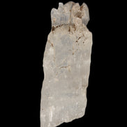 Clear Kunzite crystal from Afghanistan 38.2ct 7.6g - Rocks and Things Store