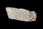 Clear Kunzite crystal from Afghanistan 38.2ct 7.6g Rocks and Things