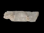 Clear Kunzite crystal from Afghanistan 38.2ct 7.6g Rocks and Things