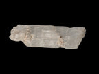 Clear Kunzite crystal from Afghanistan 38.2ct 7.6g Rocks and Things