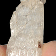 Clear Kunzite crystal from Afghanistan 38.2ct 7.6g Rocks and Things