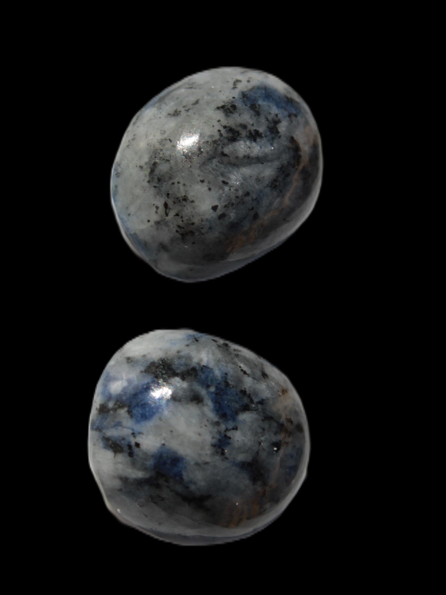 Two Sodalite cabochons 4.5g